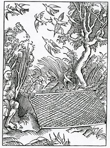 De nos ouvertures de conseils, illustration de la traduction anglaise d